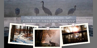 Otwarty konkurs fotograficzny Nadleśnictwa Kościan