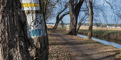 Kościański Trakt Rekreacyjny zostanie odnowiony