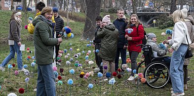 Kwietna łąka z pomponów na Wałach Żegockiego