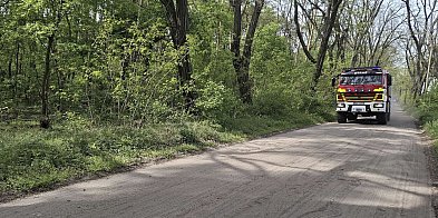 Zagrożenie pożarowe w lasach. Uważajmy podczas majówki!