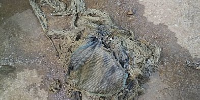 Mop w kanalizacji. Ktoś pomylił kanalizację ze śmietnik
