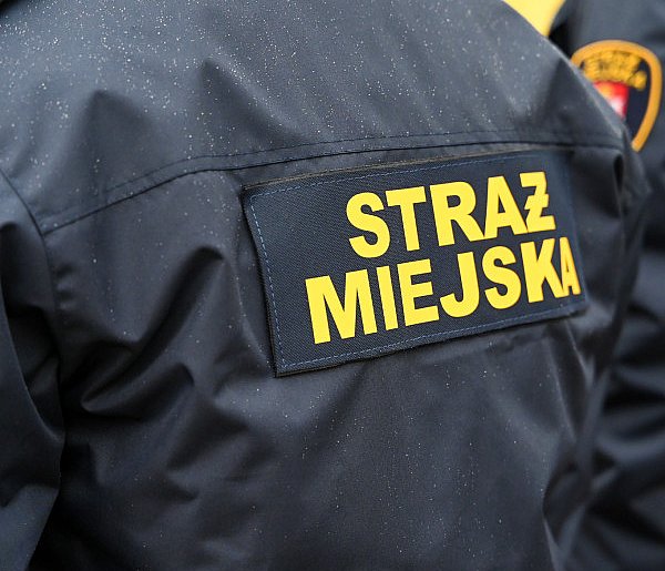 Zapuka strażnik, zapłacisz karę. Ruszyły kontrole w całej Polsce-89220