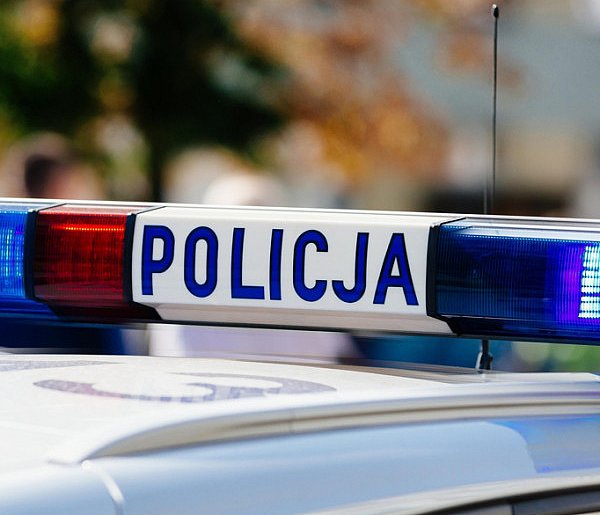 Seria zdarzeń drogowych przez zwierzynę leśną w jednym miejscu-89621