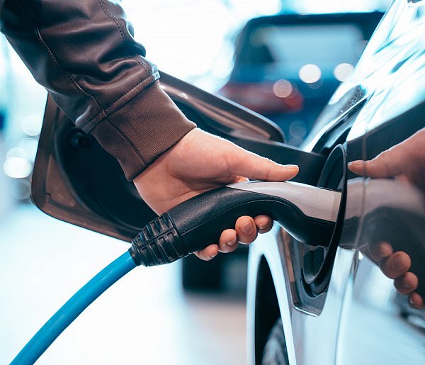 Coraz częściej dochodzi do takich kradzieży. Powody zaskakują-90484