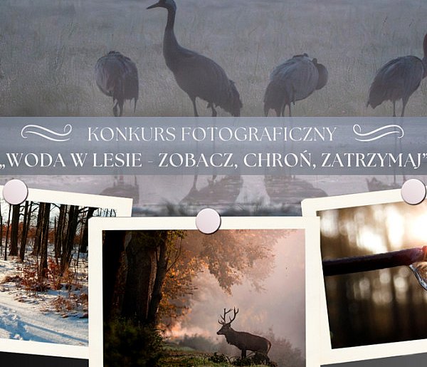 Otwarty konkurs fotograficzny Nadleśnictwa Kościan: „Woda w lesie”
