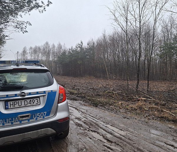 Niewybuch w lesie w Kurzej Górze