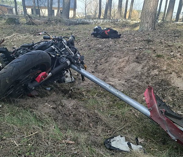 Motocyklista wjechał w stado przebiegających przez drogę saren [ZDJĘCIA]