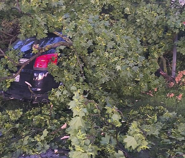 Połamane drzewa i uszkodzone samochody. Skutki silnych porywów wiatru
