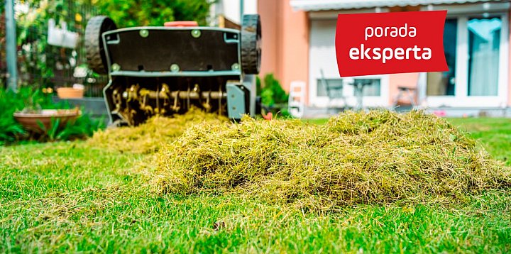 Porady eksperta: Piękny trawnik przez cały sezon
