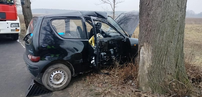 Za szybko jechał i uderzył w drzewo