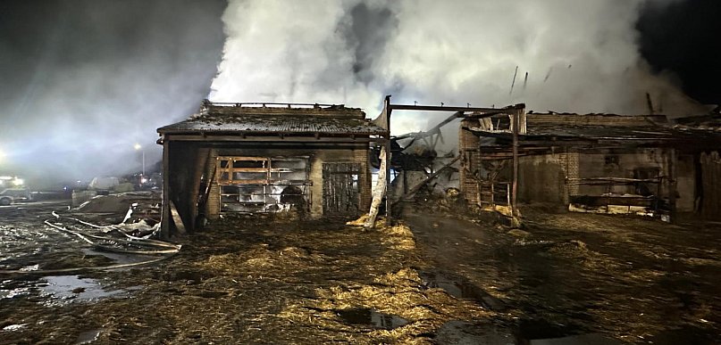Duży pożar obory w Mościszkach. Gasiło go 57 strażaków [ZDJĘCIA]