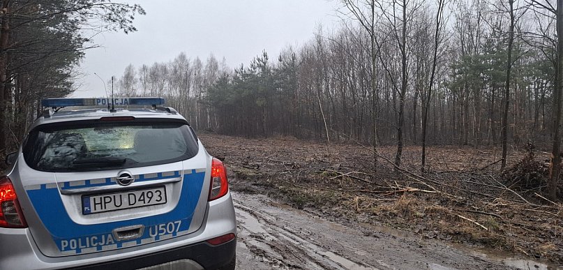 Niewybuch w lesie w Kurzej Górze