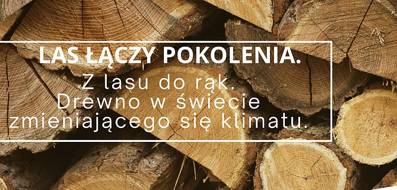 „Las łączy pokolenia”. Spotkanie w marcu o drewnie