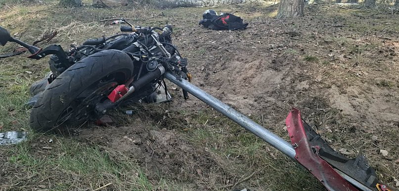 Motocyklista wjechał w stado przebiegających przez drogę saren [ZDJĘCIA]