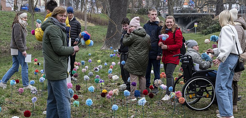 Kwietna łąka z pomponów na Wałach Żegockiego w Kościanie [ZDJĘCIA]
