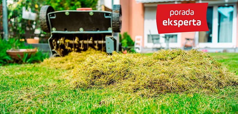 Porady eksperta: Piękny trawnik przez cały sezon