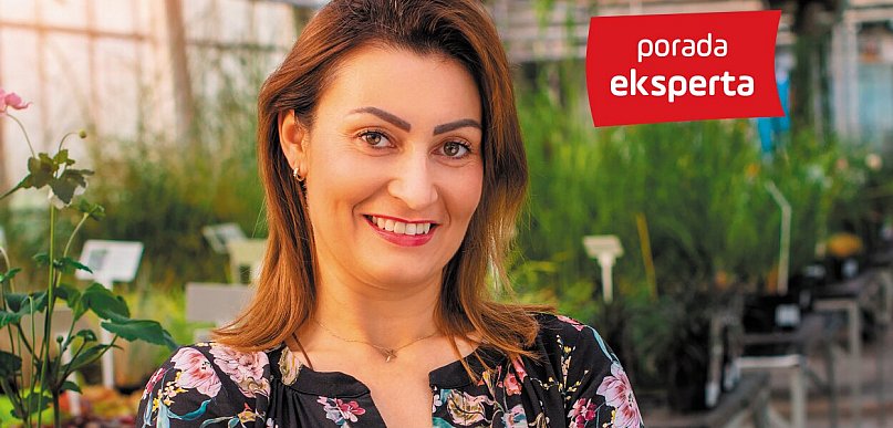 Porady eksperta: Trendy w roślinach rabatowych