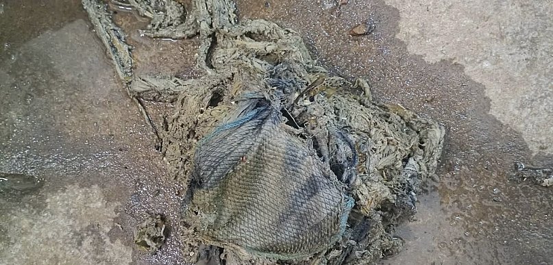 Mop w kanalizacji. Ktoś pomylił kanalizację ze śmietnikiem
