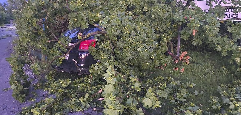 Połamane drzewa i uszkodzone samochody. Skutki silnych porywów wiatru