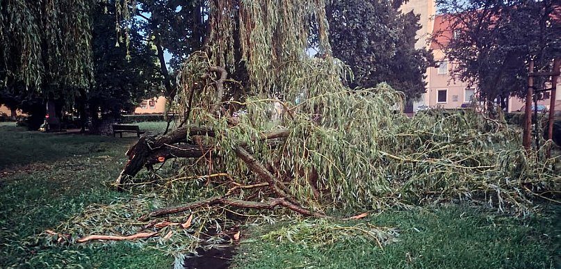 Gwałtowna burza w powiecie kościańskim. Ponad 100 interwencji [ZDJĘCIA]