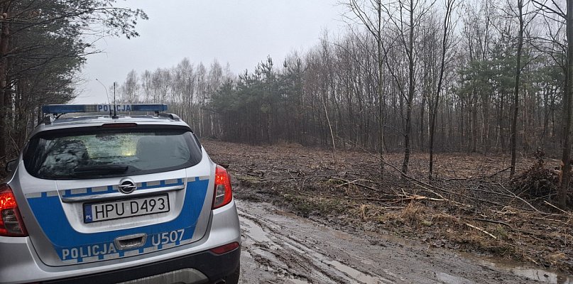 Niewybuch w lesie w Kurzej Górze