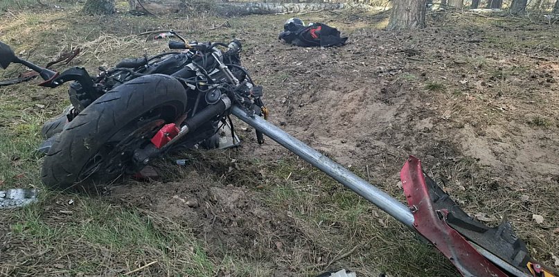 Motocyklista wjechał w stado przebiegających przez drogę saren [ZDJĘCIA]
