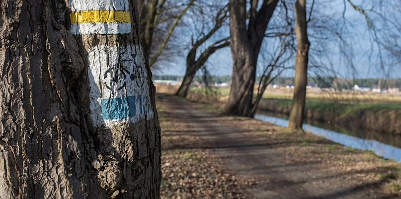Kościański Trakt Rekreacyjny zostanie odnowiony i wydłużony!