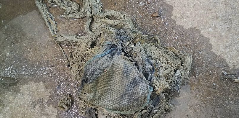 Mop w kanalizacji. Ktoś pomylił kanalizację ze śmietnikiem