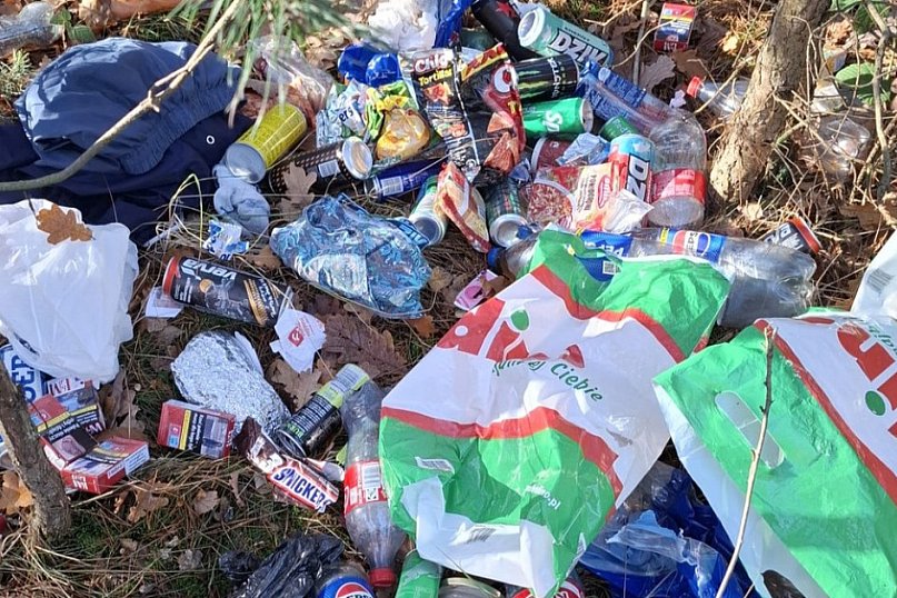 Wyrzucał śmieci do lasu