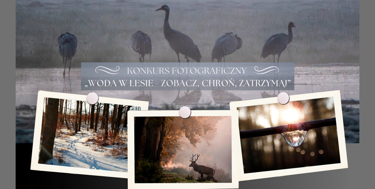Otwarty konkurs fotograficzny Nadleśnictwa Kościan: „Woda w lesie”