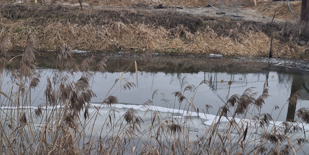 Ponownie oleista ciecz na kanale Obry