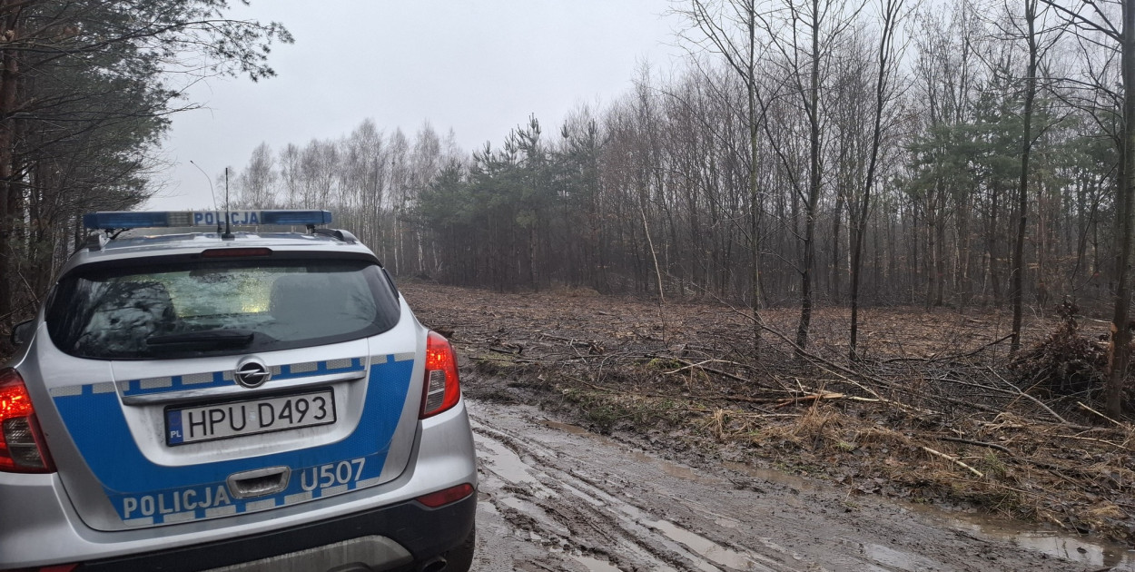 Niewybuch w lesie w Kurzej Górze