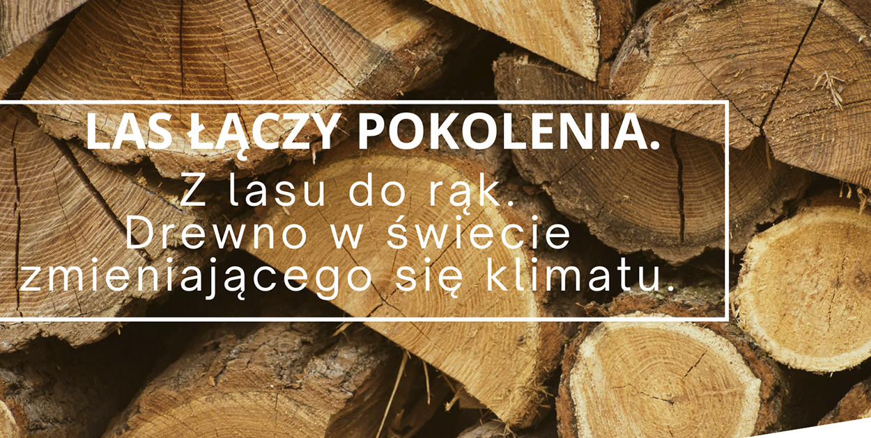 „Las łączy pokolenia”. Spotkanie w marcu o drewnie