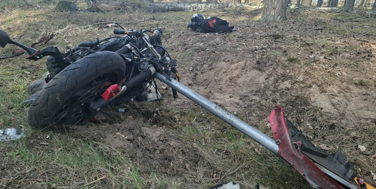 Motocyklista wjechał w stado przebiegających przez drogę saren [ZDJĘCIA]