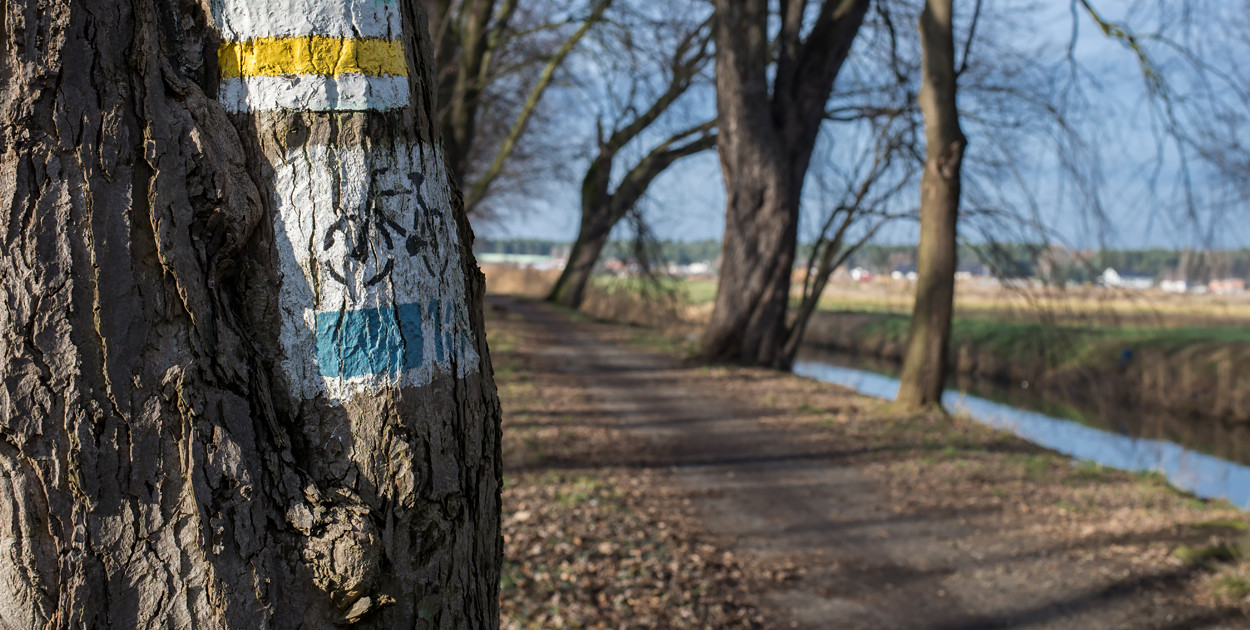 Kościański Trakt Rekreacyjny zostanie odnowiony i wydłużony!