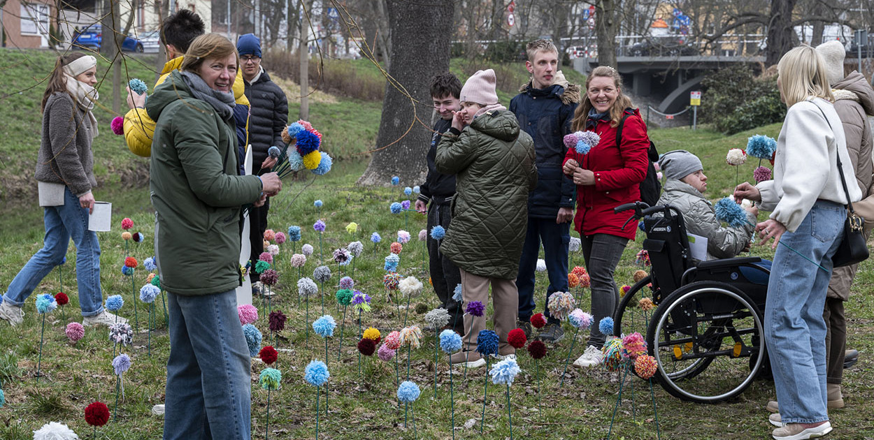Kwietna łąka z pomponów na Wałach Żegockiego w Kościanie [ZDJĘCIA]