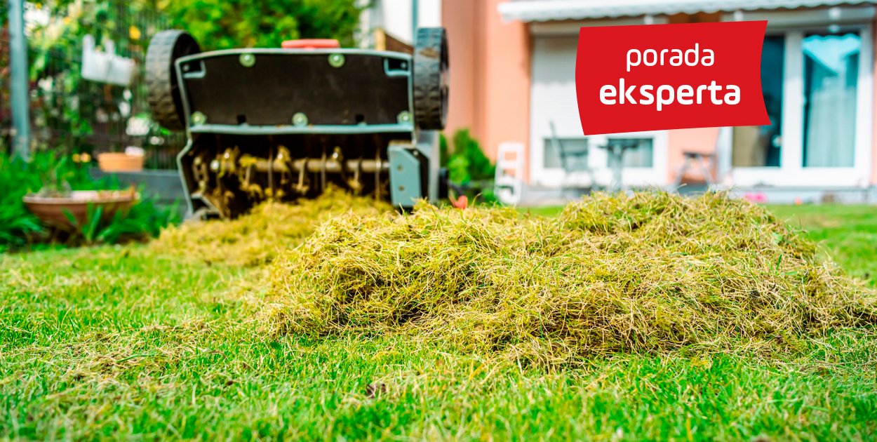 Porady eksperta: Piękny trawnik przez cały sezon